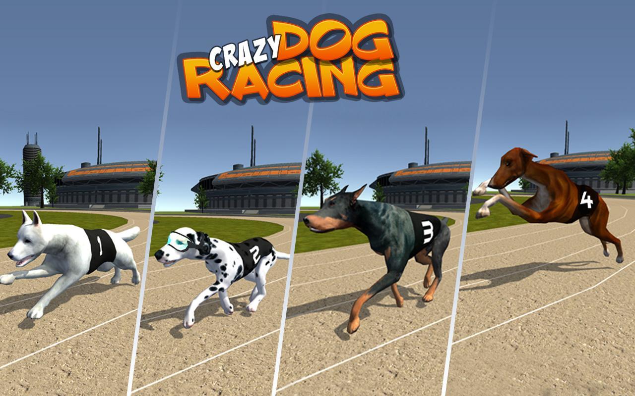 Crazy Dog Racing Game Screenshot
