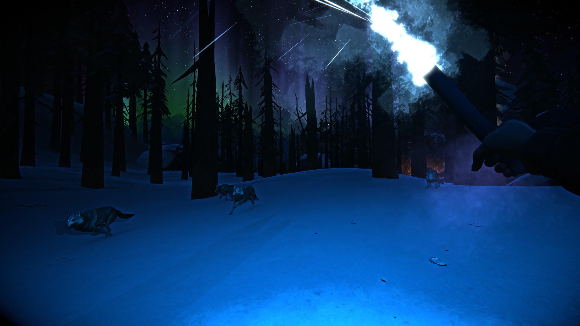 The Long Dark Game Screenshot