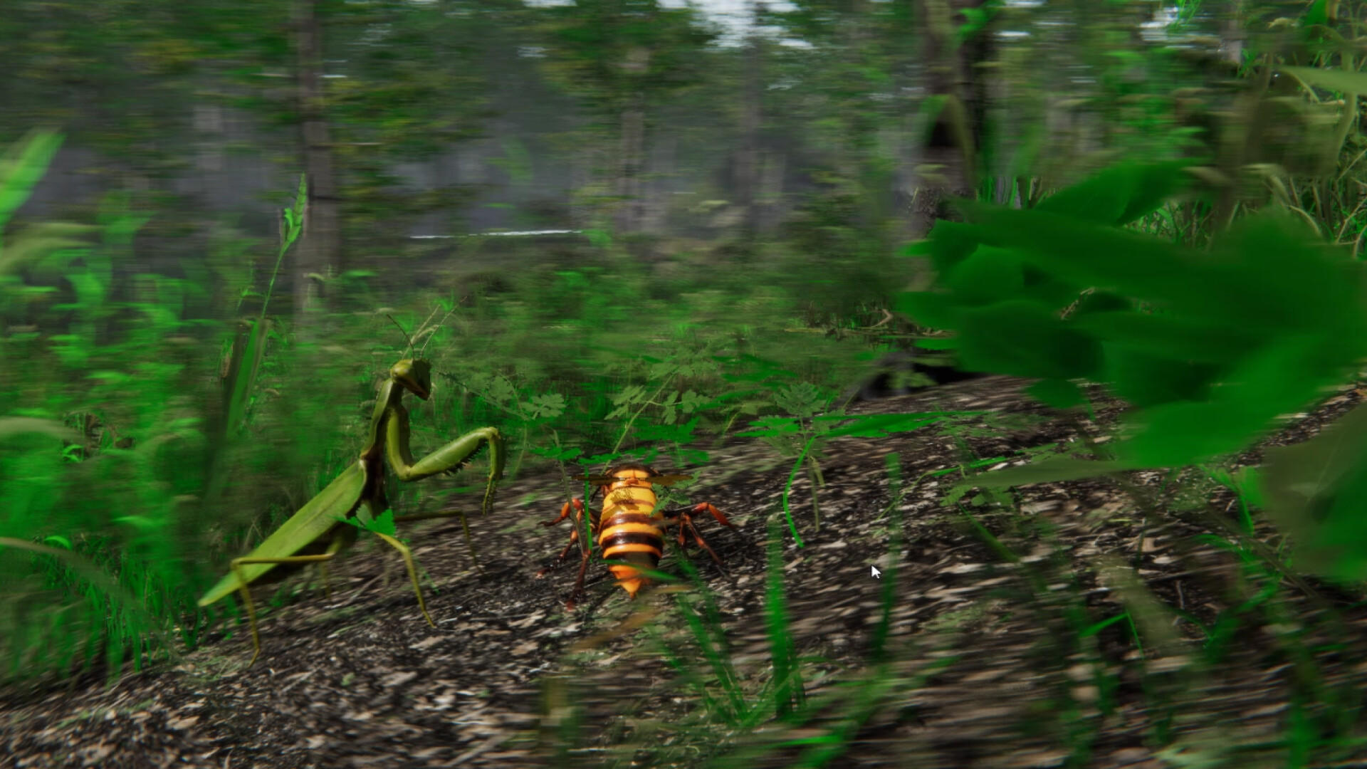 Screenshot of Giant Hornet