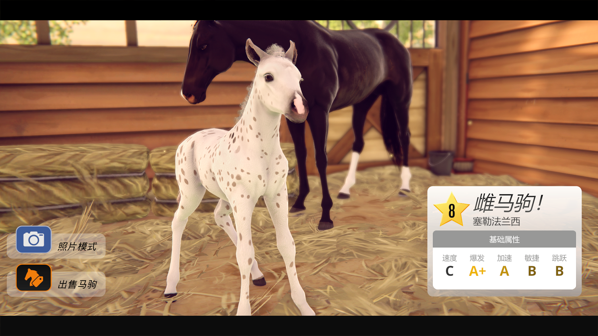 家族传奇： 马匹养成竞技 ภาพหน้าจอเกม
