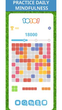 1010! Block Puzzle Game Game Screenshot