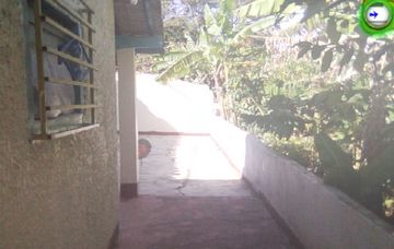 Evil Day - the abandoned house Game Screenshot