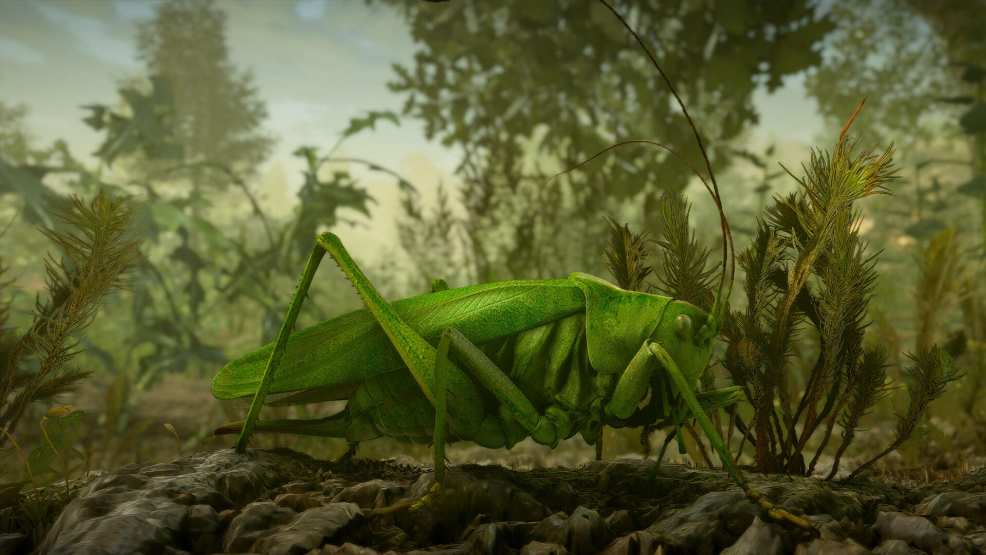 Screenshot of Insect Worlds