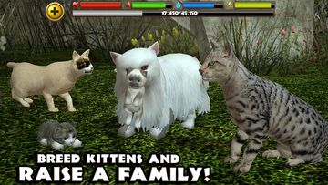 Stray Cat Simulator Game Screenshot