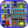 Crowd-Crossing Expert 2023