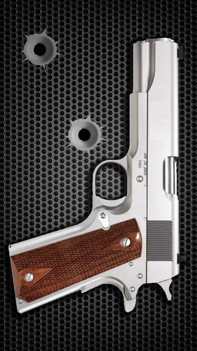 Screenshot of Armory Guns