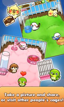 Bird Life -小鳥生活- 遊戲截圖