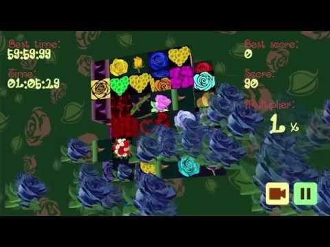 Screenshot of the video of Roseistry