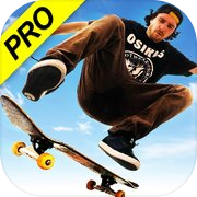 Skateboard Party 3: professionista