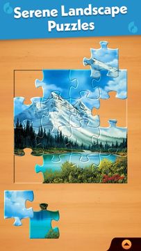 Jigsaw Puzzle Pro Game Screenshot
