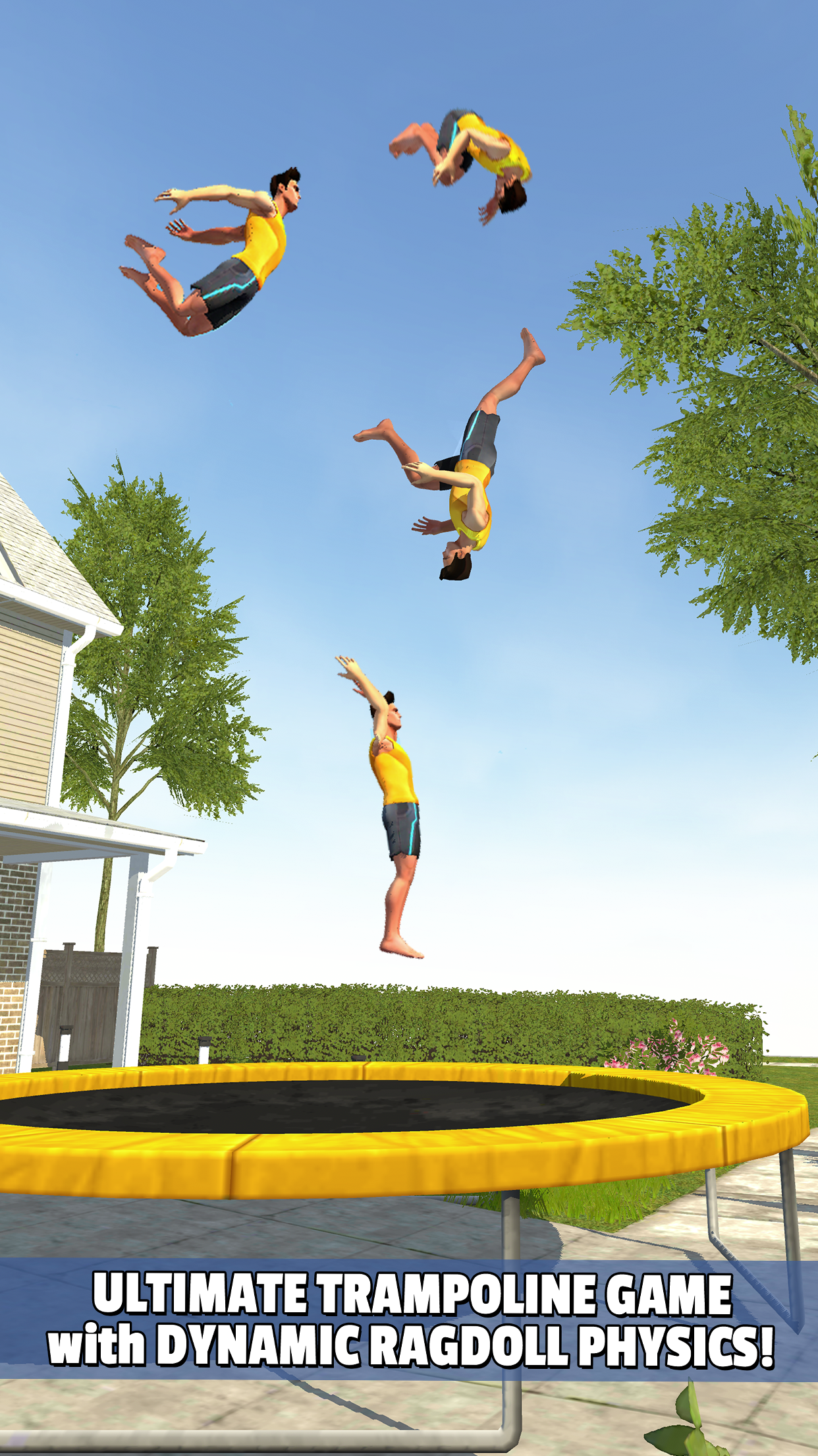 Flip Master Game Screenshot