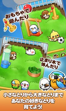 バードライフ -鳥さん育成ゲーム- ゲームのスクリーンショット
