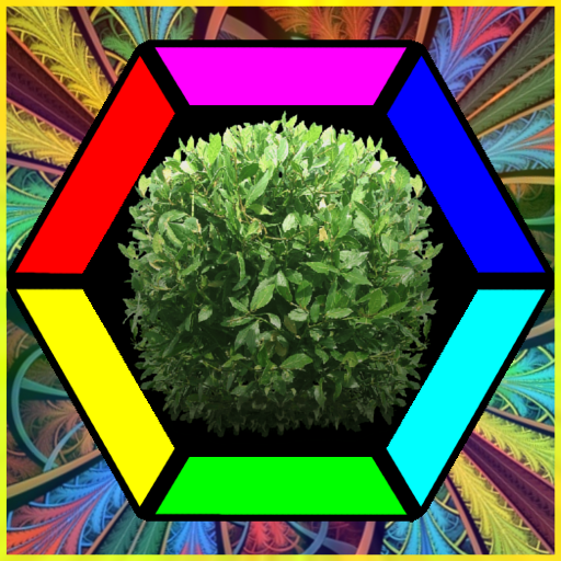 Bushes Latest Version for Android/iOS APK - TapTap