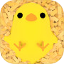 Icon of TamagoChick