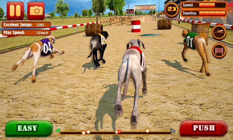 Dog Race & Stunts 2016 Game Screenshot
