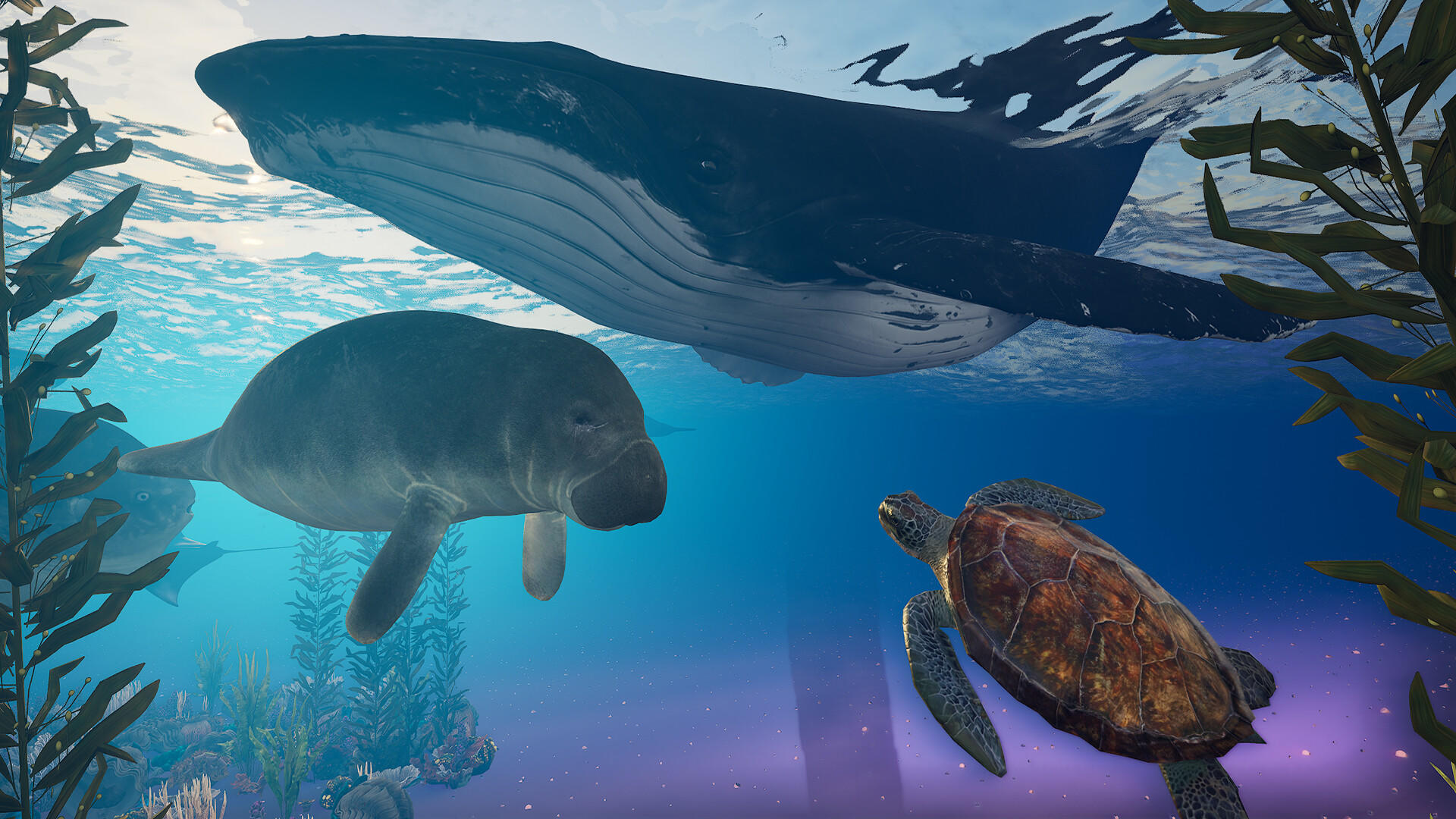 Eden Island Game Screenshot