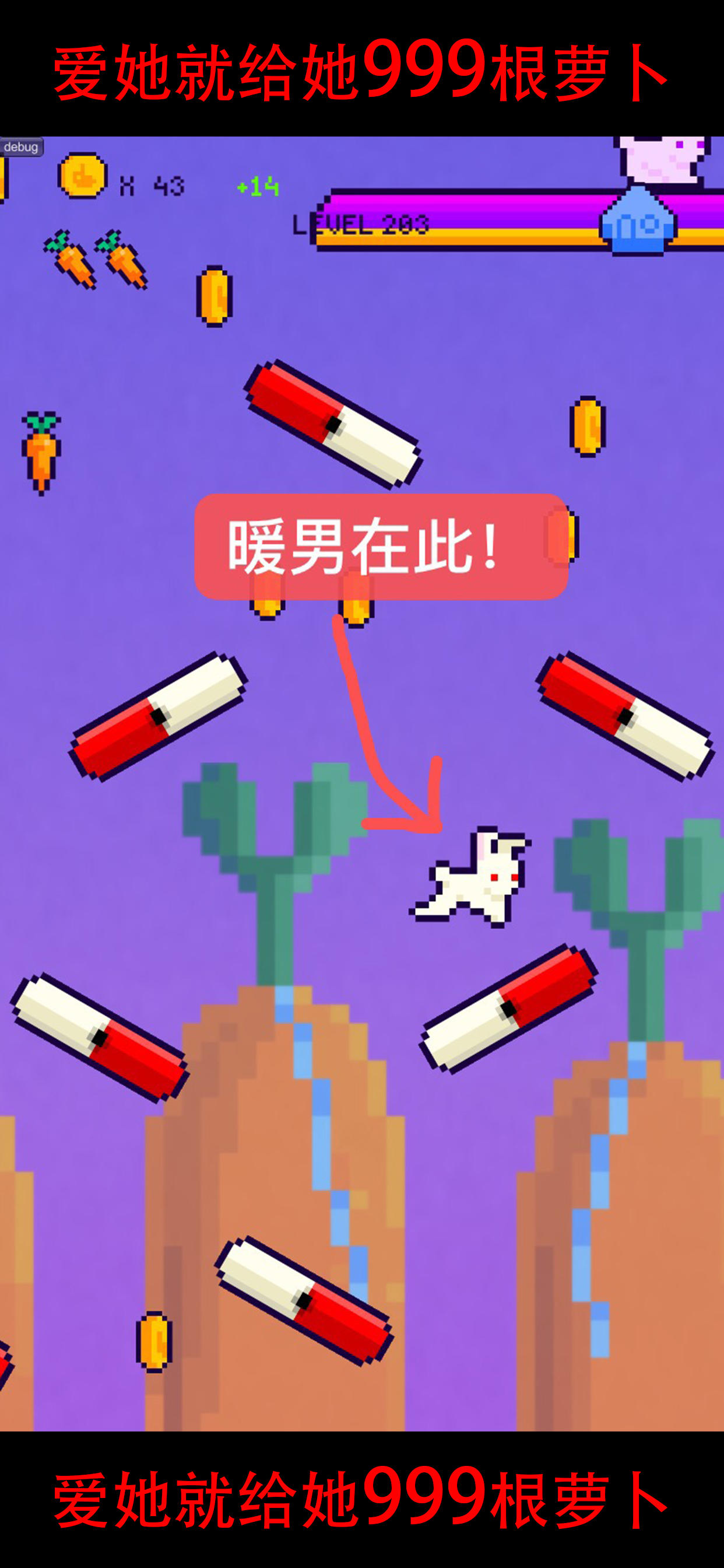 Screenshot of 恩爱兔——999根萝卜