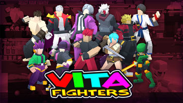 Banner of Vita Fighters 