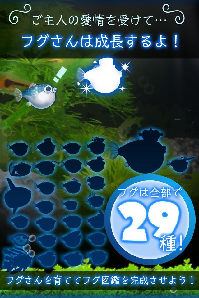 ぼくのフグさん水族館 【無料でかわいい育成ゲーム】 screenshot game