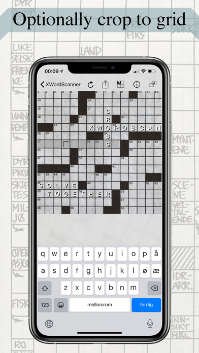 Screenshot of Crossword Scanner
