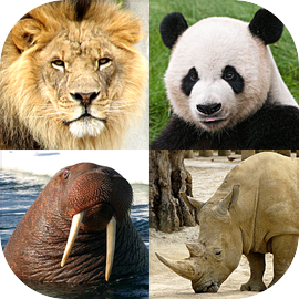 Animals Quiz Learn All Mammals