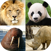 動物クイズゲーム：哺乳類、鳥、爬虫類、魚、恐竜を学びましょう