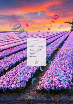 Sudoku Game Screenshot