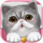 Cat Sweetie
