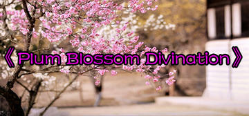 Banner of Plum Blossom Divination 