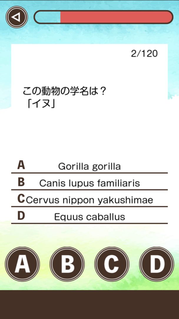 動物学名クイズ遊戲截圖