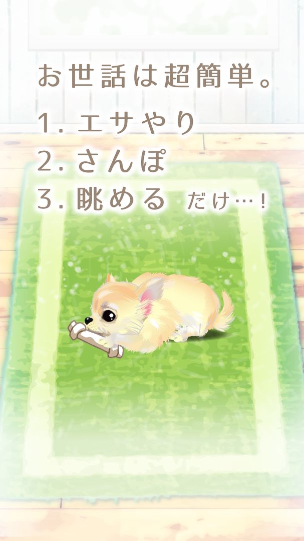 Screenshot of 癒しの子犬育成ゲーム〜チワワ編〜