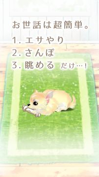 癒しの子犬育成ゲーム〜チワワ編〜 게임 스크린샷