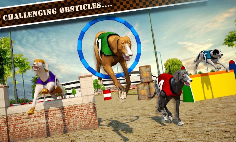 Dog Race & Stunts 2016 Game Screenshot