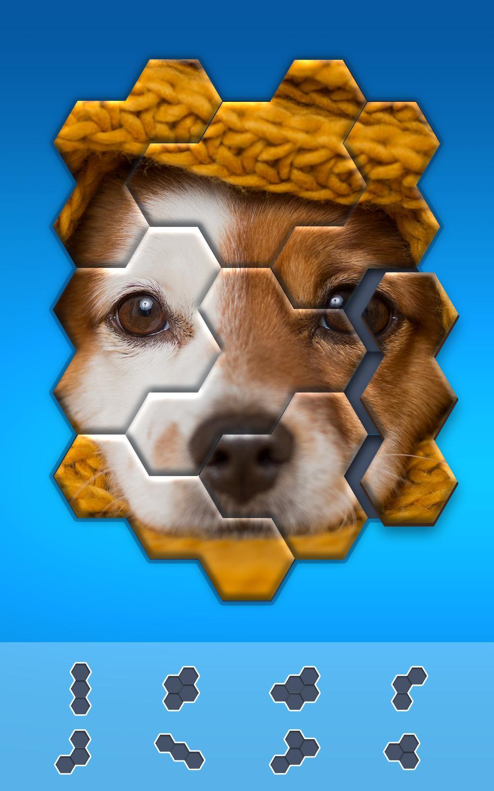 Hexa Jigsaw Puzzle ® Game Screenshot