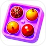 Icon of Fruit Block Sort Puzzle Jam