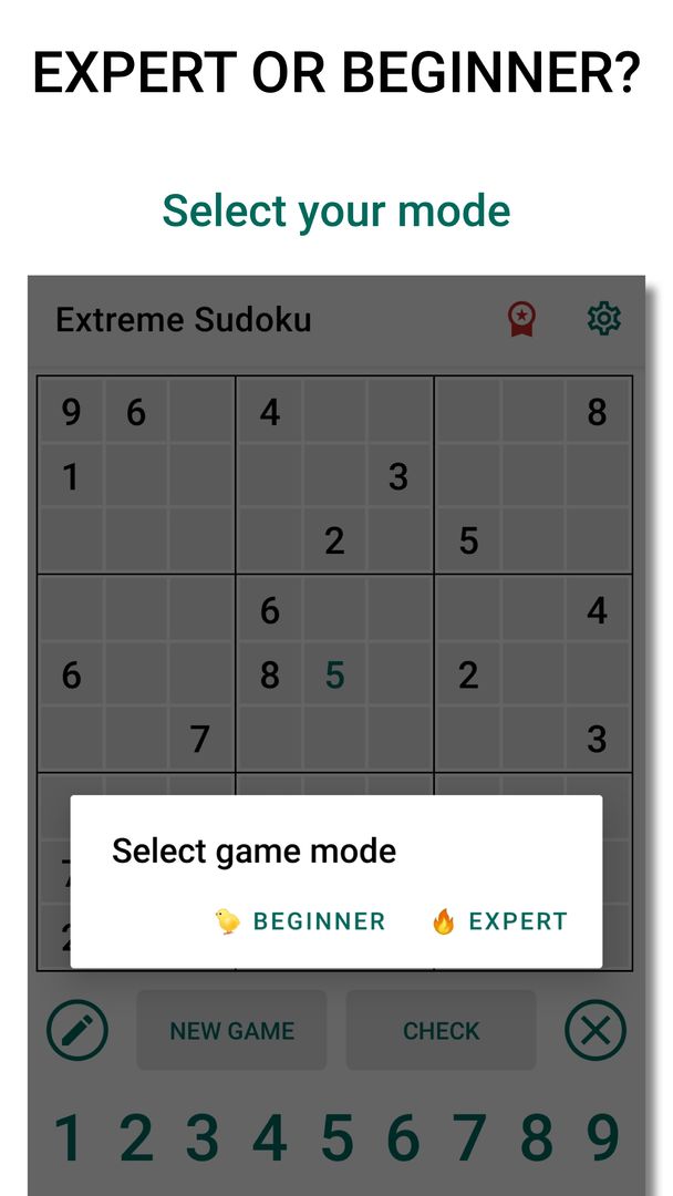 Extreme Sudoku: Classic Puzzle遊戲截圖