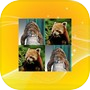 Icon of Jungle Match Game