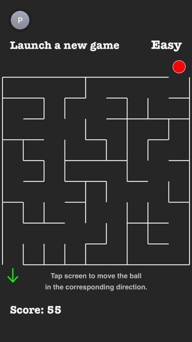 Infinity Maze Game Screenshot