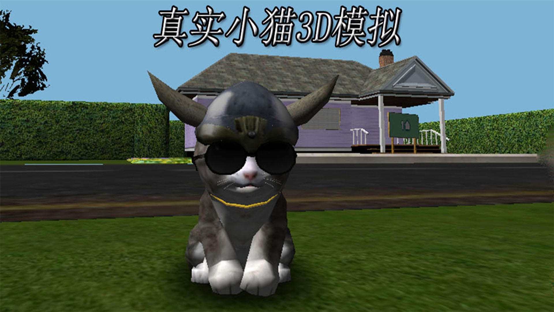 Banner of Simulation 3D de chaton réel 1.0