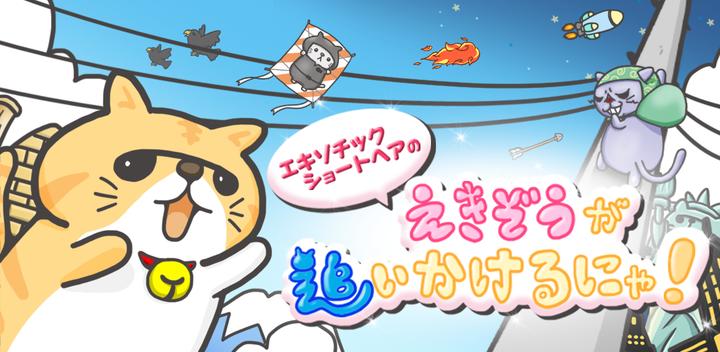 Banner of Ekizo, um gato exótico de pelo curto, está perseguindo miau! 1.3