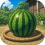 Icon of Escape Game: Summer Vacation