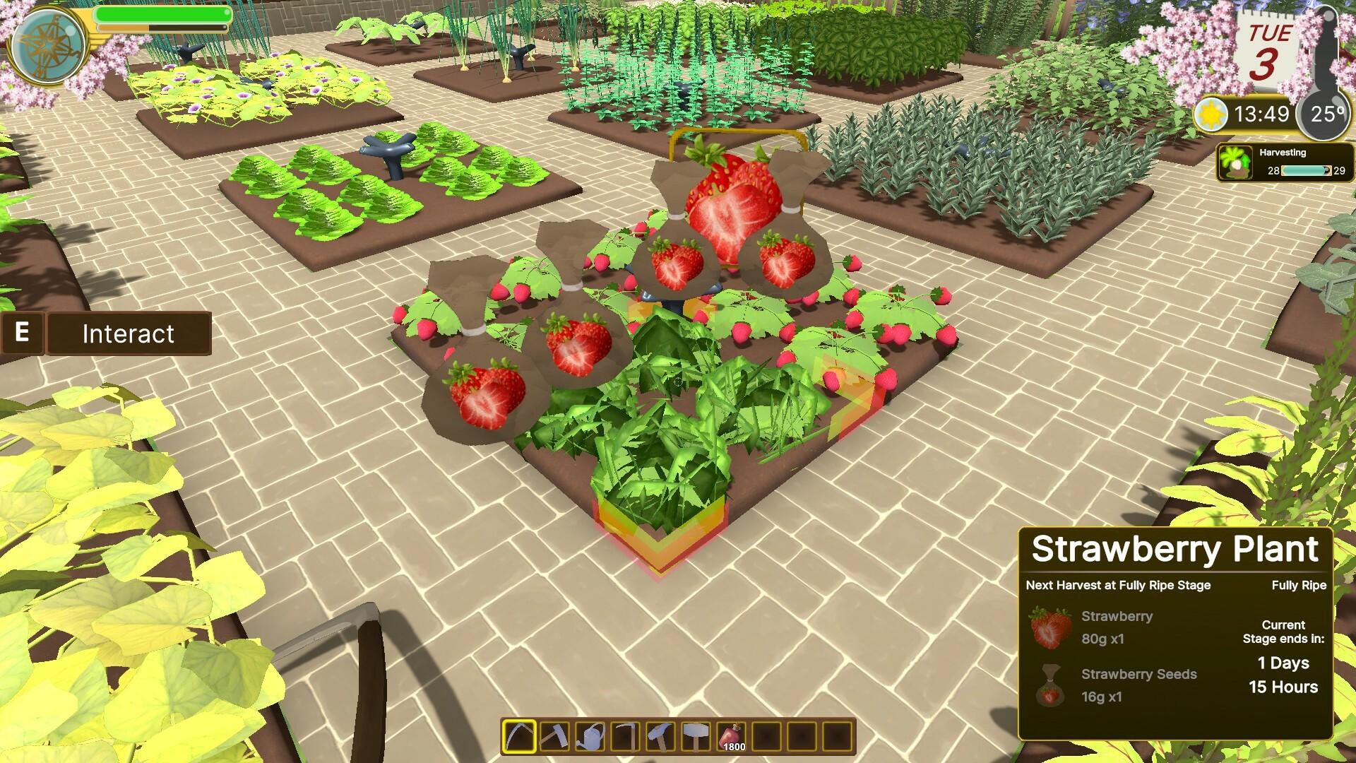 Edengrall screenshot game
