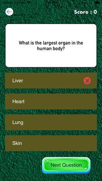 Captura de Tela do Jogo GizmGleam