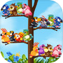 Icon of Bird Sort 2: Color Puzzle