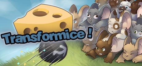 Banner of Transformice 