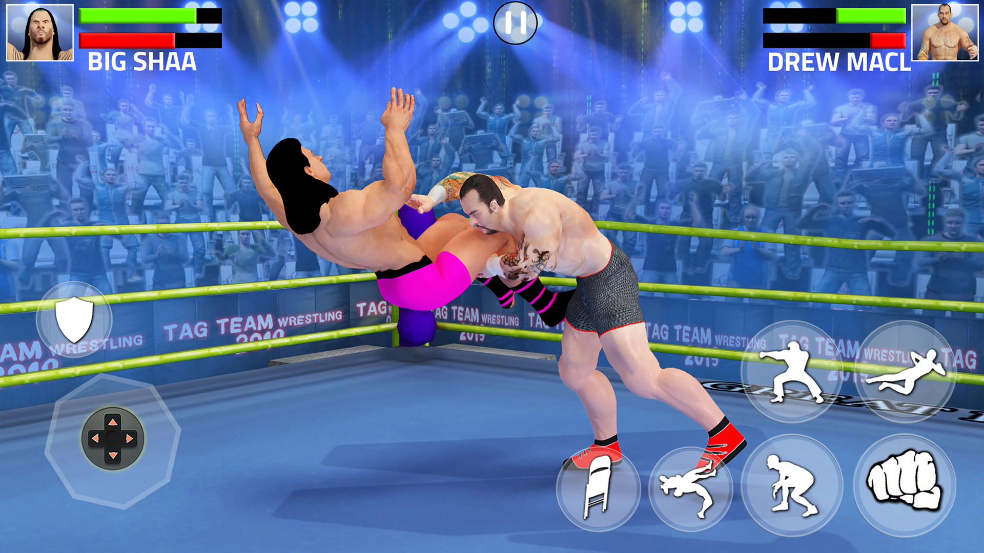Tag Team Wrestling Game screenshot game