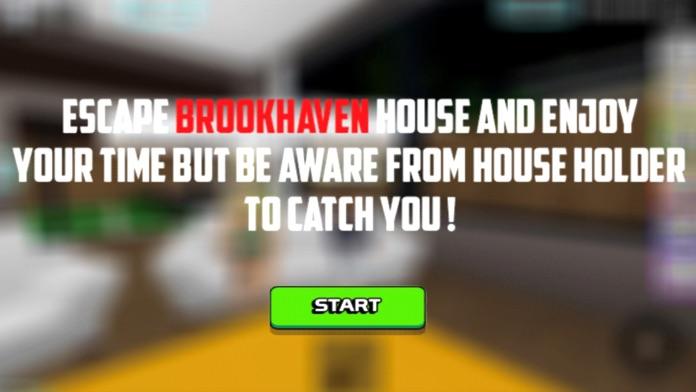 Screenshot of Brookhaven Game