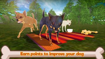 Chihuahua Dog Simulator 3D Game Screenshot