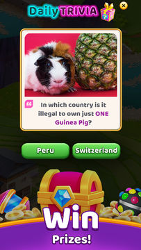 Puzzles & Passports 게임 스크린샷