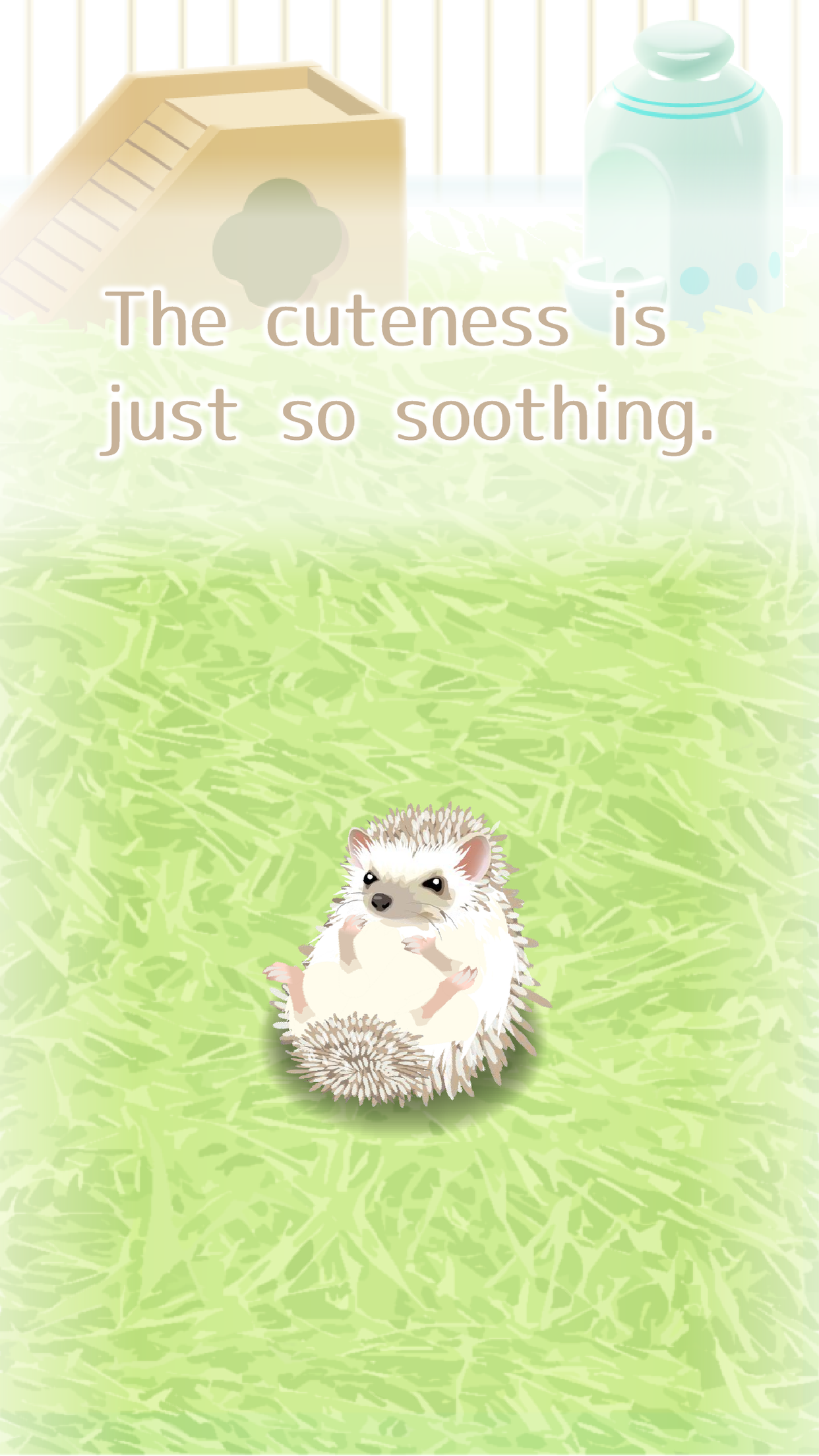 Captura de Tela do Jogo Hedgehog Pet